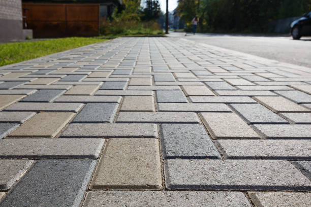 Best Driveway Pavers Near Me  in Lake Panasoffkee, FL